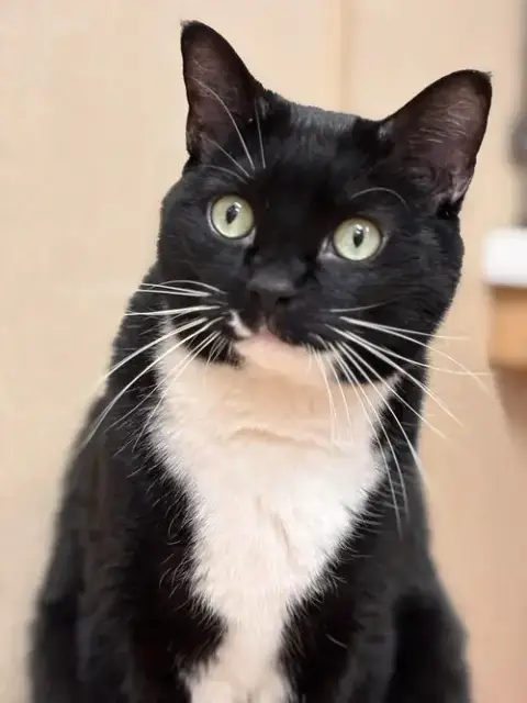 Andy