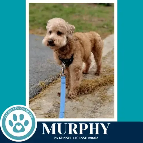 Murphy 042526 photo 4