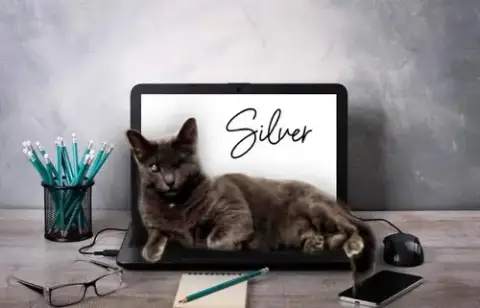 Silver