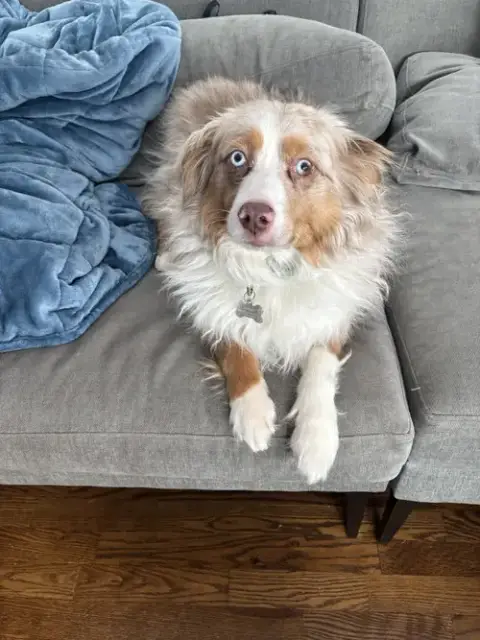 Jimmy