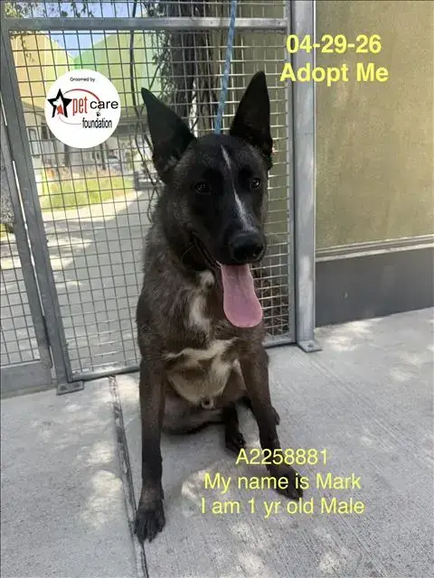 Mark