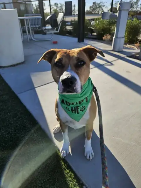 Kylo photo 5