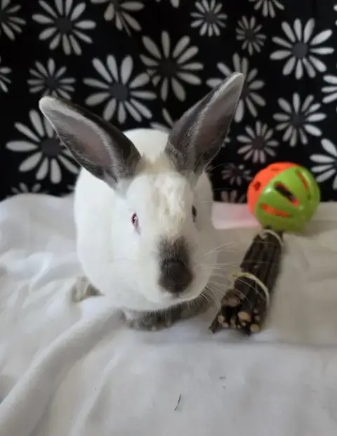 Agatha photo 2