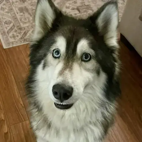 Bella photo 2