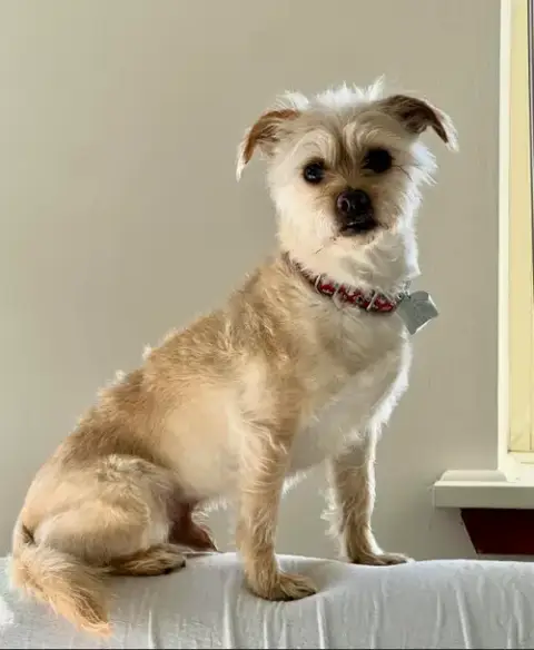 Benji Nick In Ri