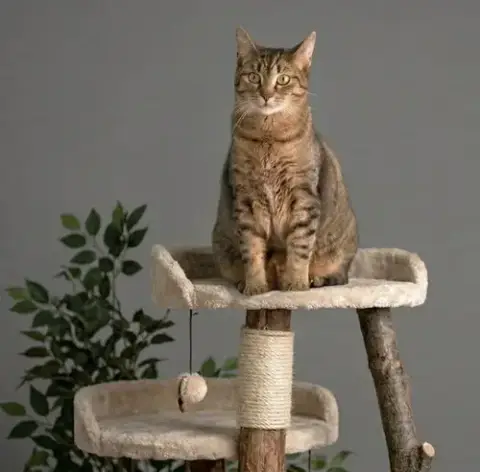 Luna photo 2