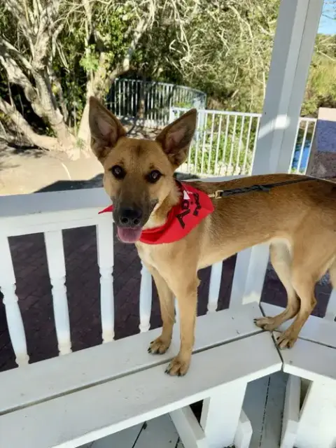 Finley photo 2