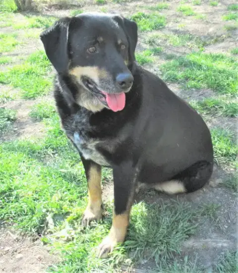 Jed photo 5
