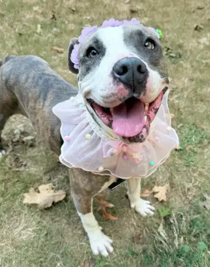 Pretty Princess Foster Needed Too! photo 3