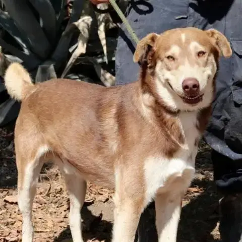 Ruben Jum