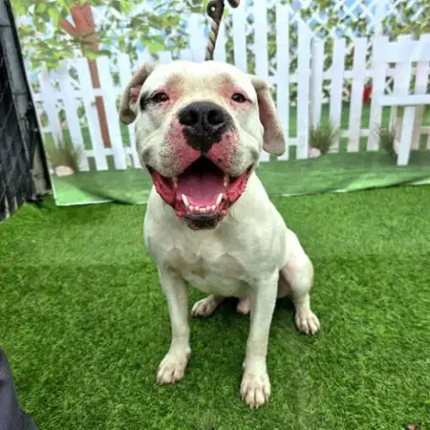 Zeus