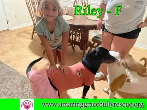 Riley photo 4