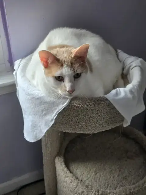 Tucker photo 3