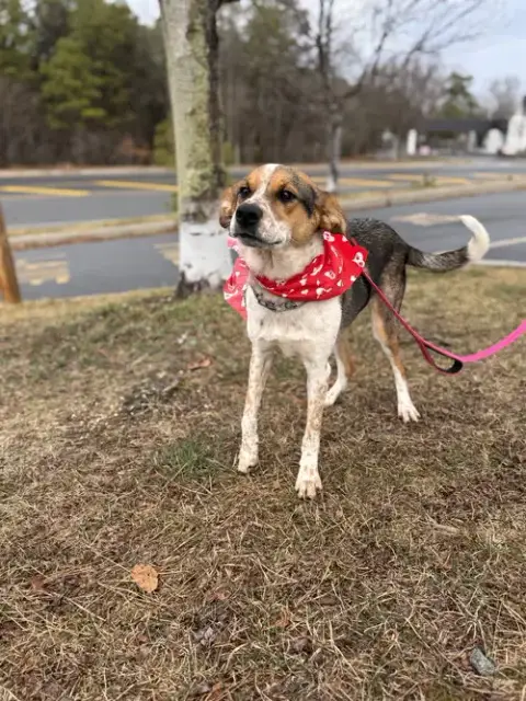 Jack-Pending photo 4