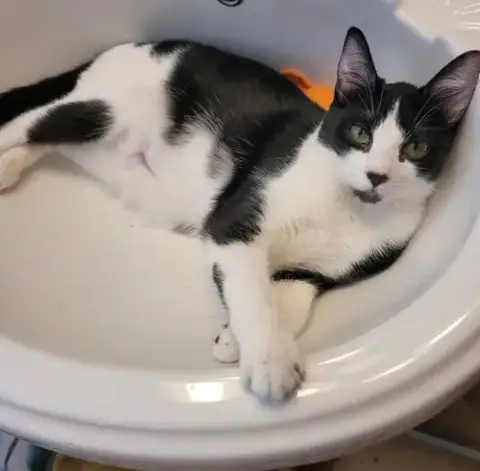 Zoe