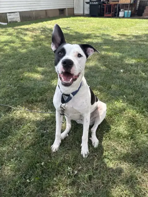 Radar