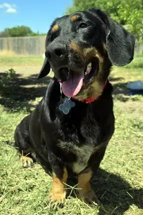 Carla