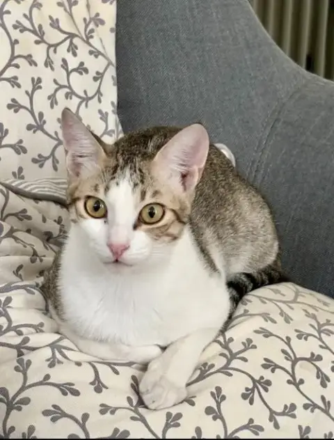 Tilly