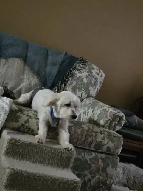 Crouton photo 3