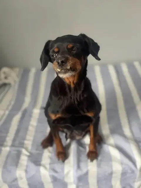 Edna