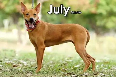 July From Taiwan photo 3