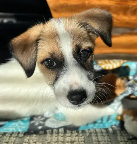 Tatum photo 4