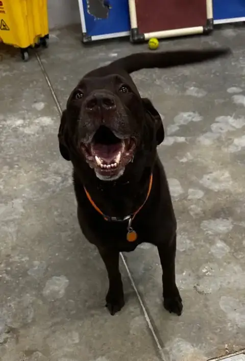 Riley