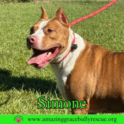 Simone photo 3