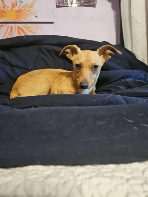 Chiquita photo 2