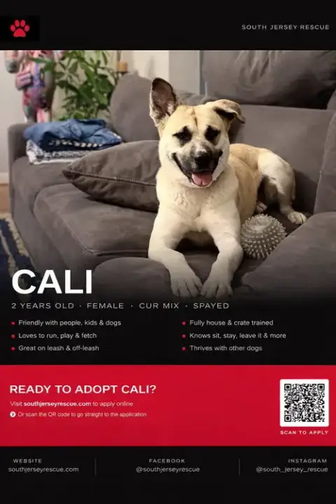 Cali