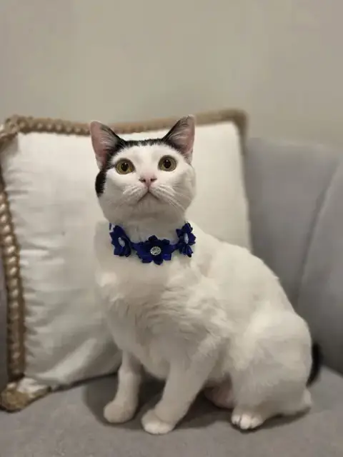 Barbara
