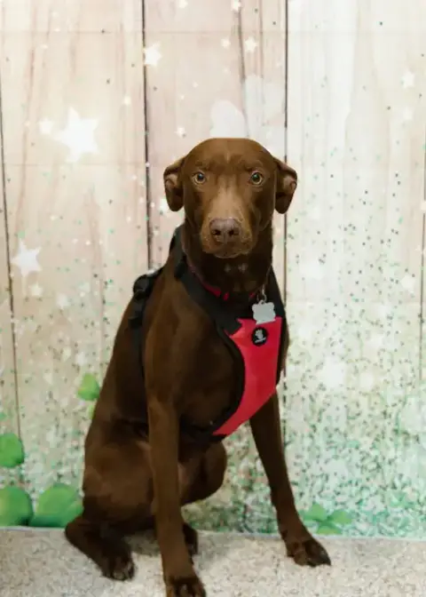 Maggie