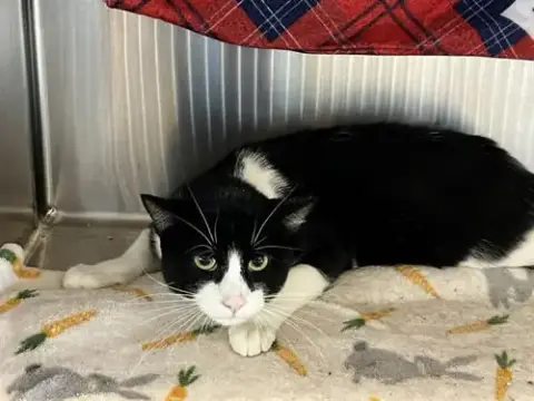 Sir Isaac