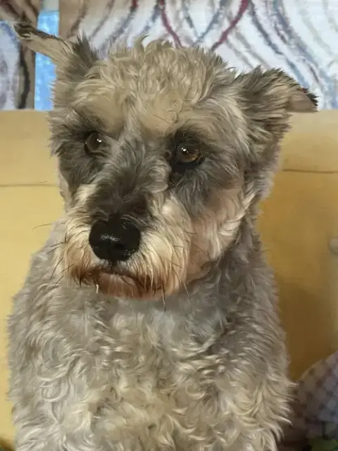 Sabrina