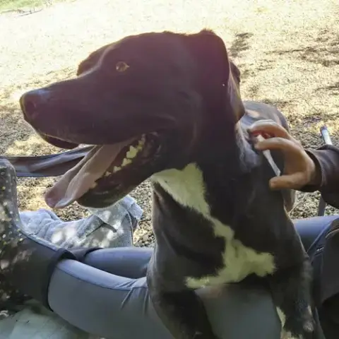 Bruce photo 2