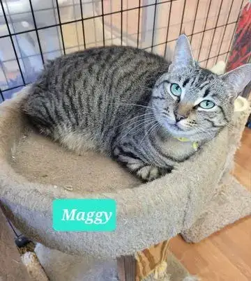 Maggy-Sponsored photo 3