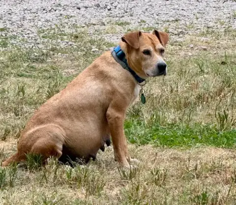 Momma photo 3