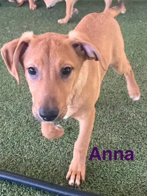 Anna photo 5