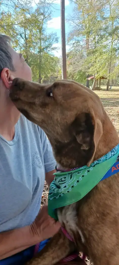 Tucker photo 4