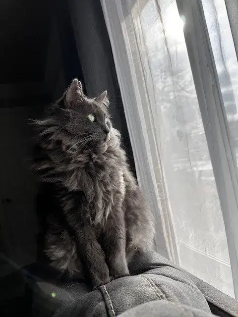 Smokey photo 2