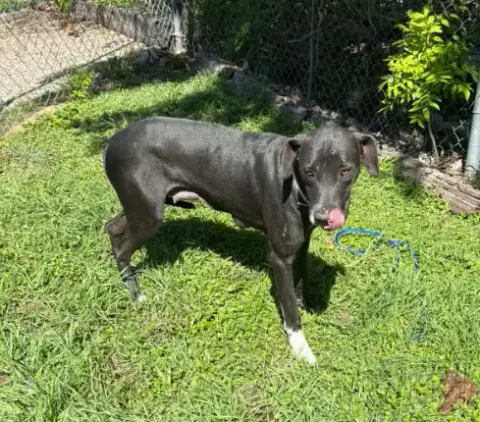 Wilhelmina/Wilma