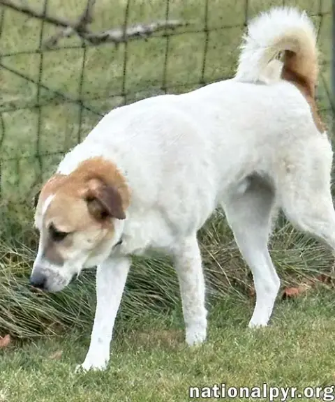 Buster In Va photo 2