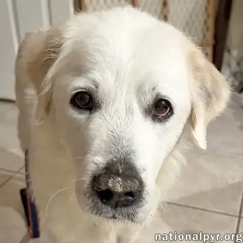Heidi In Fl
