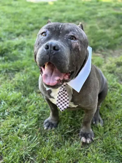 Drax Aka Thor