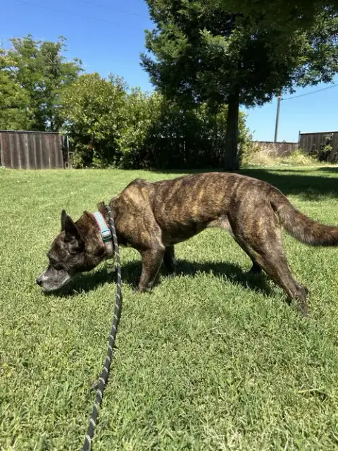 Quincy photo 4