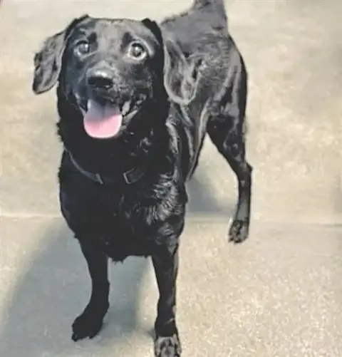 Rippley