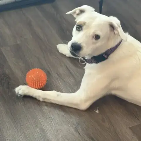 Lexi photo 5