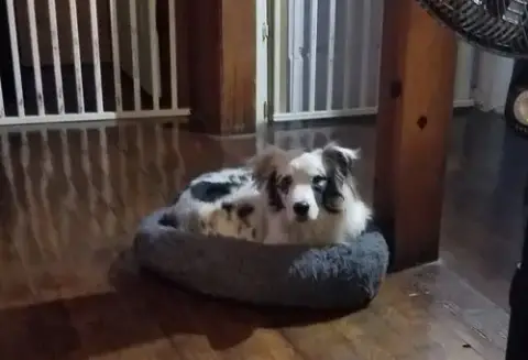 Isabelle photo 3