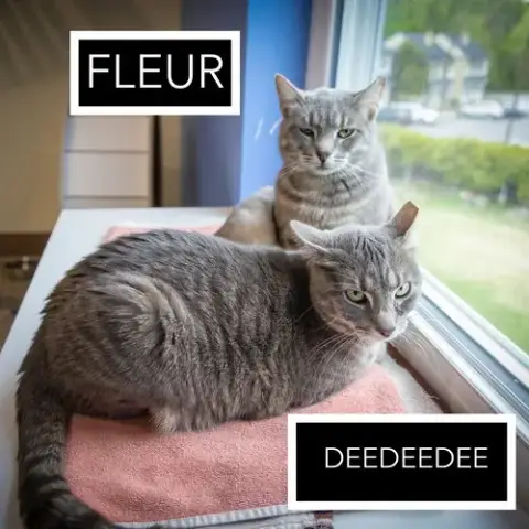 Fleur photo 4
