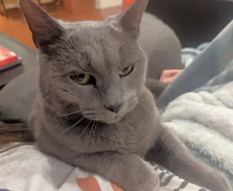 Nala photo 2